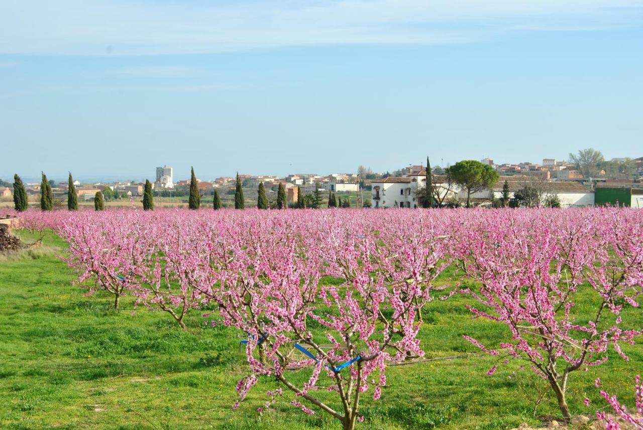 Sol Blanc Villa Alguaire Bagian luar foto